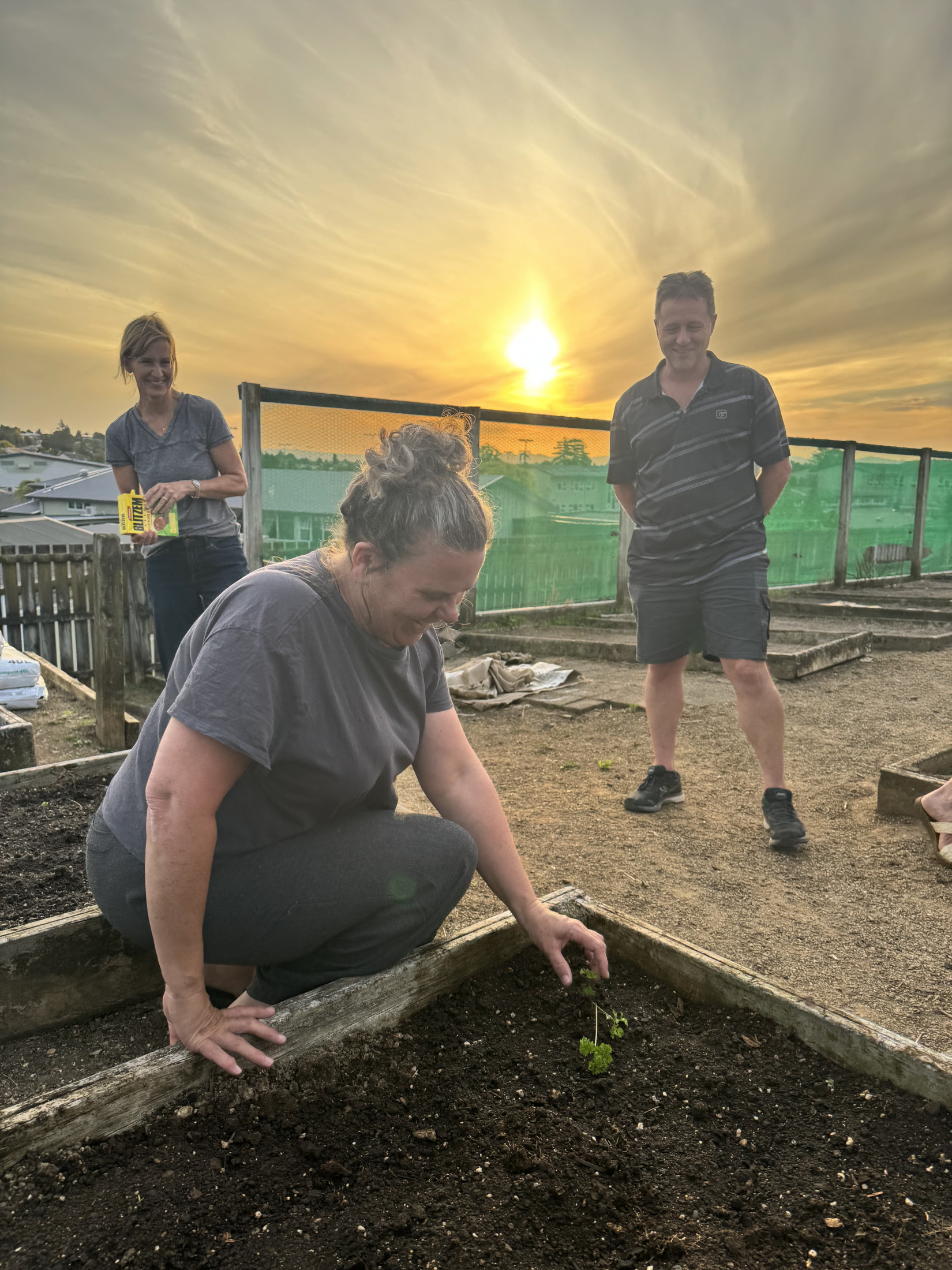 Home Gardening Made Easy 26267 - TERM 2